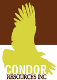 Condor Resources Announces New Precious Metals Discovery in Peru