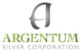 Argentum Silver Reports Silver Assay Results from Coyote Project