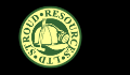 Stroud Resources Reports New Drilling Results from Santo Domingo Project